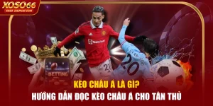 Kèo Châu Á Là Gì? Hướng Dẫn Đọc Kèo Châu Á Cho Tân Thủ