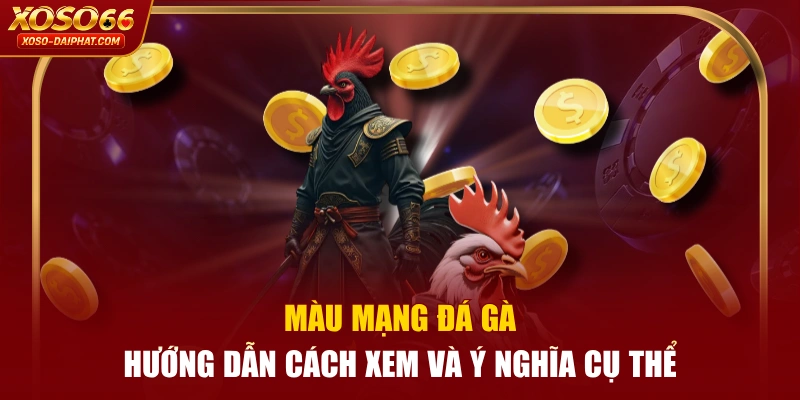 Màu Mạng Đá Gà - Hướng Dẫn Cách Xem Và Ý Nghĩa Cụ Thể 1 Màu Mạng Đá Gà - Hướng Dẫn Cách Xem Và Ý Nghĩa Cụ Thể